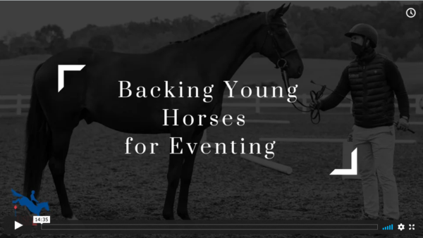 Backing Young Horses with Martin Douzant