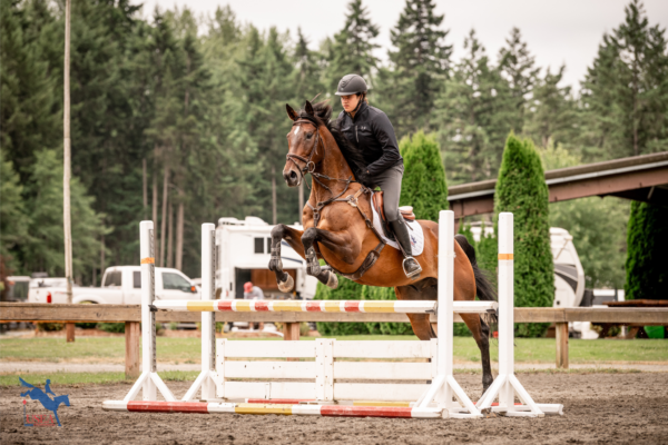 USEA EA21 West II at Aspen Farms - Show Jumping