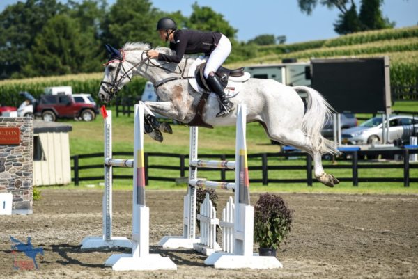 2018 Millbrook Horse Trials Advanced Show Jumping