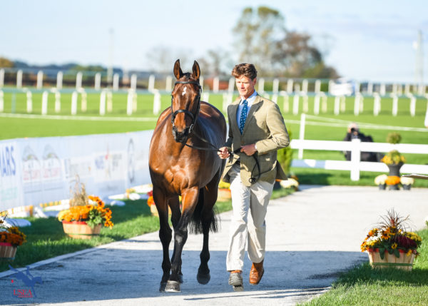 2023 MARS Maryland 5 Star | Final Horse Inspection