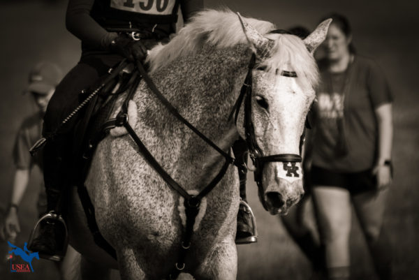 Through the Lens: 2022 USEA Intercollegiate Eventing Championships