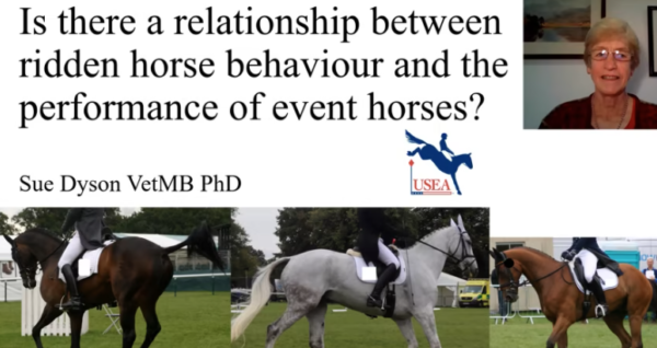 VIDEO: Is There a Relationship Between Ridden Horse Behavior and the Performance of Event Horses?