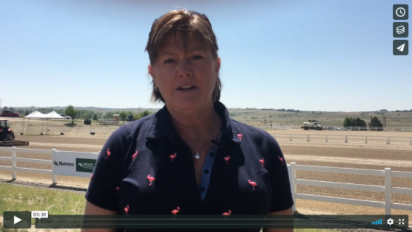 USEA Event College at #AEC2018: Odd Jobs of a Show Organizer with Shelley Page