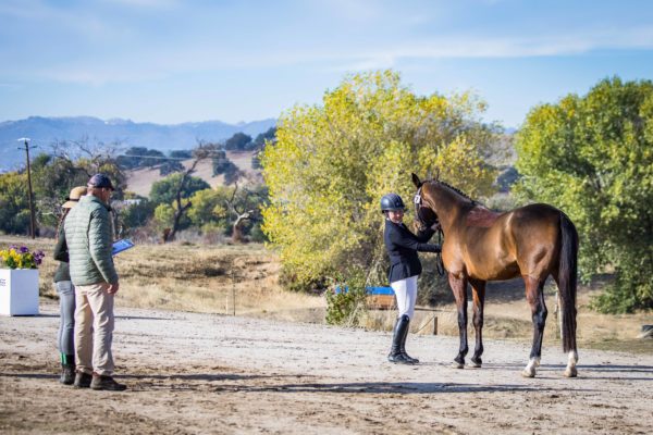 2021 FEH and the Dutta Corp. USEA YEH West Coast Championships Day One